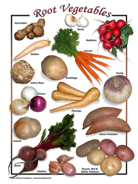 Are Root Veggies Healthy