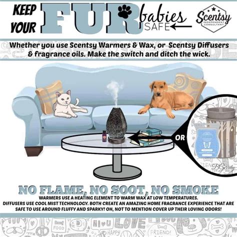 Are Scentsy Diffusers Safe For Pets