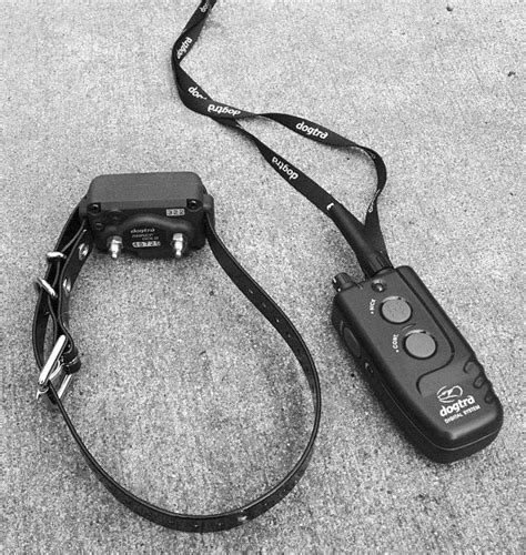 Are Shock Collars Ok