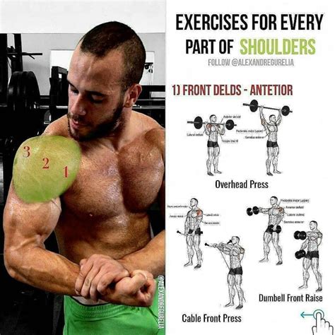 Are Shoulder Exercises Push Or Pull