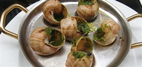 are snails ok to eat