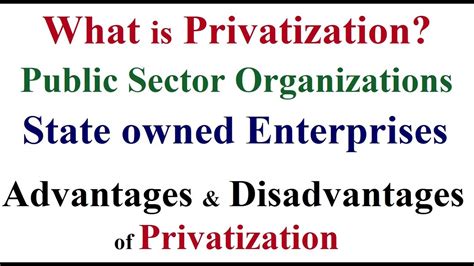 are state owned enterprises public sector