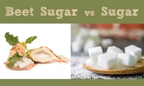 Are Sugar Beets Beets