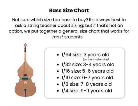 Are There Different Sizes Of String Bass