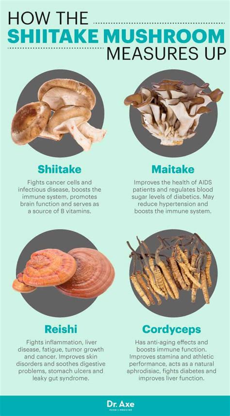 are there different types of shiitake mushrooms