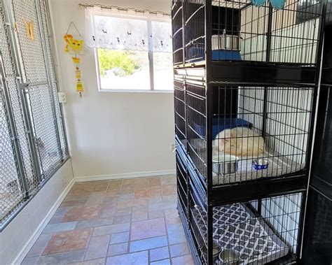 are there kennels for cats