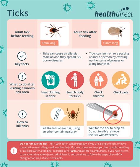 Are Tick Bites Itchy? Understanding the Symptoms and What to Expect