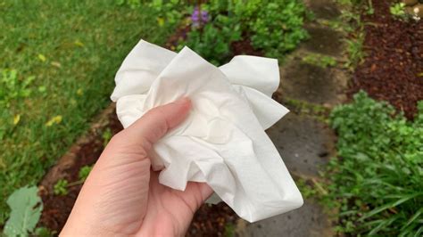 Are Tissues Biodegradable