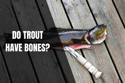 Are Trout Bones Dangerous