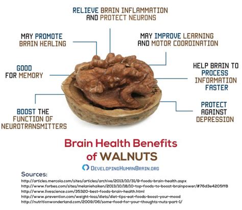 Are Walnuts Really Good For Your Brain