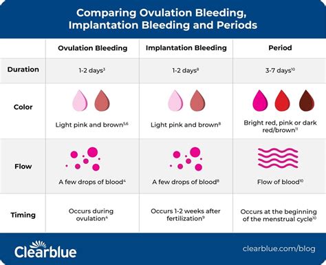 Are You Fertile During Ovulation Bleeding