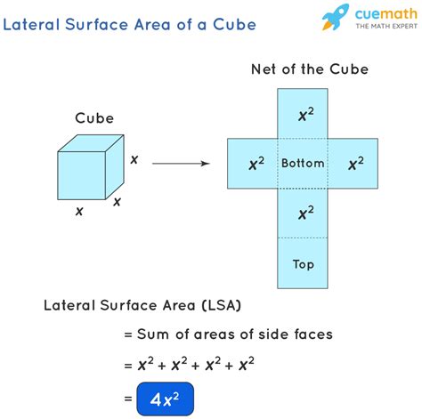 area of lateral surface