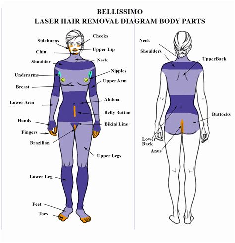 areas for laser hair removal