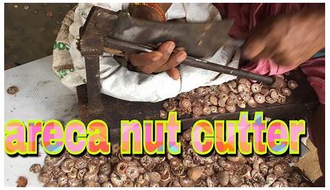 Areca Nut Cutting Machine From Tree High Quality And Reasonable Price Peeling
