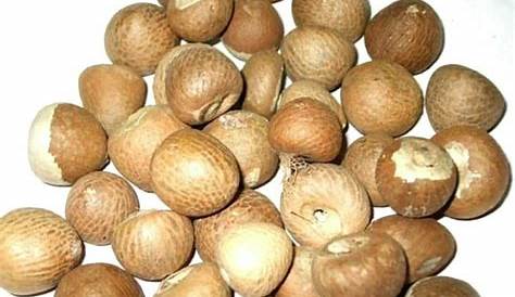Eating Betel nut Causes Cancer Mana Arogyam Telugu