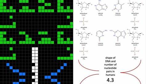 Arecibo message explained Today's Google doodle decoded