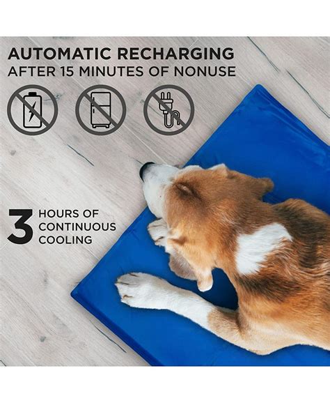 Arf Pet Cooling Mat Large