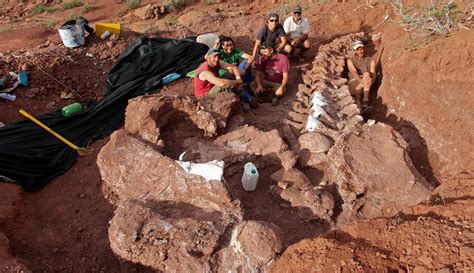 argentinosaurus fossils found underground