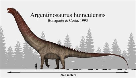 argentinosaurus next to human