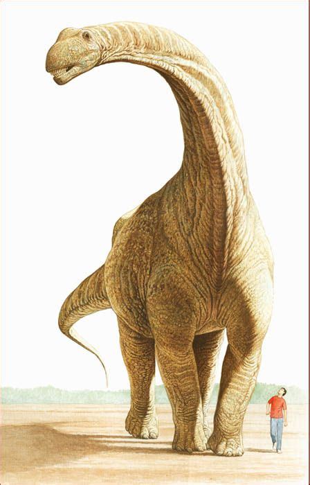 argentinosaurus size comparison to human
