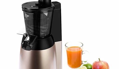 Argus Le Slow Masticating Juicer Extractor 64 OFF
