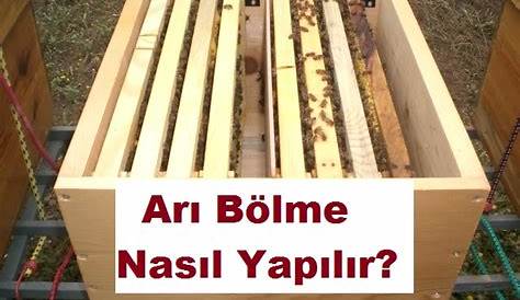 ARICILIK NASIL YAPILIR (Antalya Toros Arıcılık) YouTube