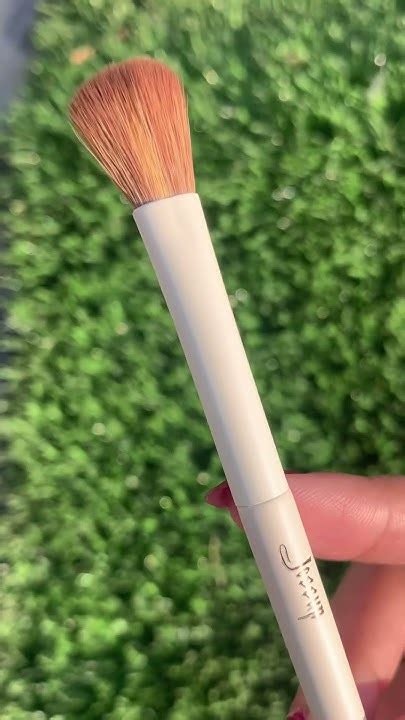 Ariel Brush Set Dupe