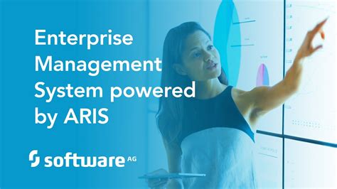 aris enterprise management system