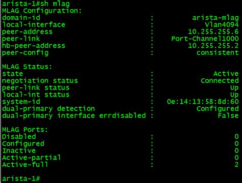 arista show commands