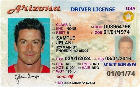 Arizona Dmv Travel License