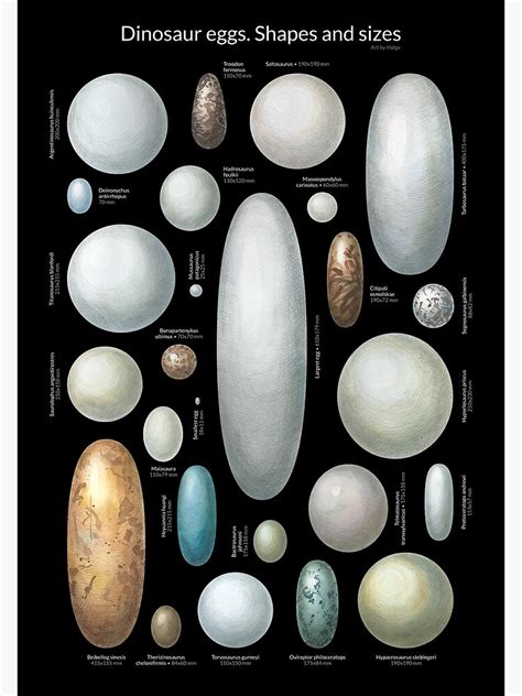 Ark Dinosaur Egg Sizes