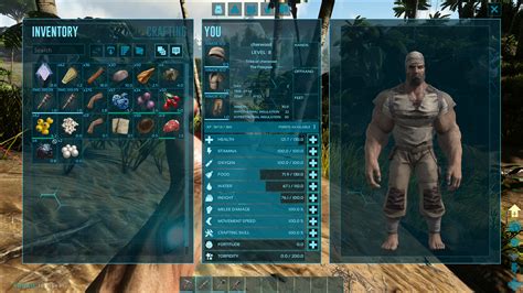 Ark Inventory Limit Reached
