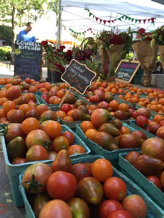 Arlington Farmers Market: A Haven For Fresh Produce And Local Delights