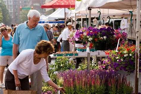 arlington farmers market va