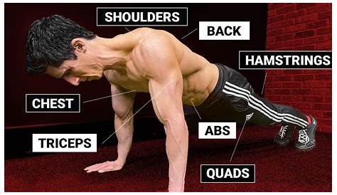 Arm Fat Pushups 17 PUSHUP EXERCISES FOR A STRONG UPPER BODY! Are