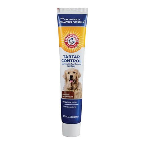 arm and hammer enzymatic dog toothpaste