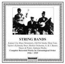 arm and hammer string band