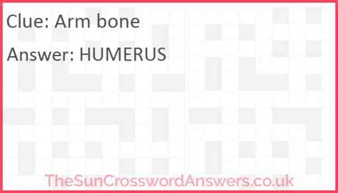 Arm Bone. Crossword