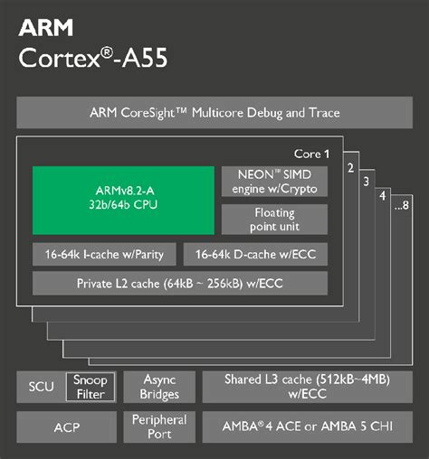 Arm Cortex A55