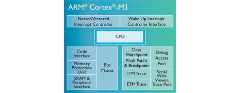 Arm Cortex Generation
