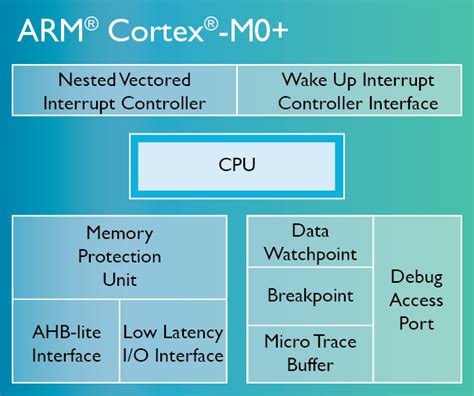 Arm Cortex Programming