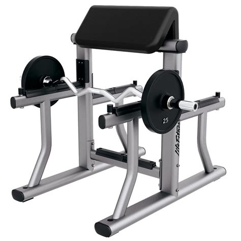 Arm Curl In Bench