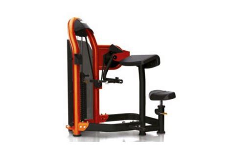 Arm Curl Machine Basic Fit