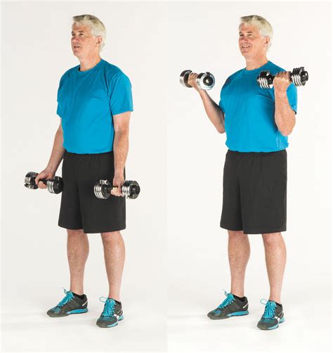 Arm Curl Movement
