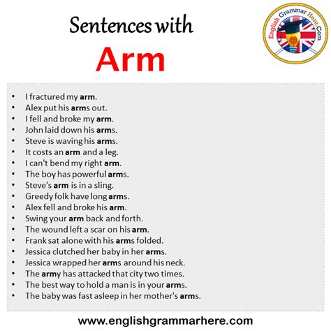 Arm Definition Sentence