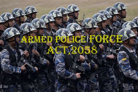armed forces act 2001