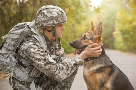 Armed Forces Dogs