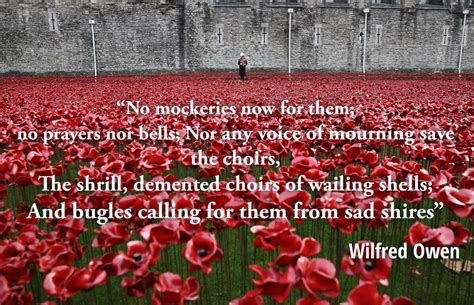 armistice day poppy meaning