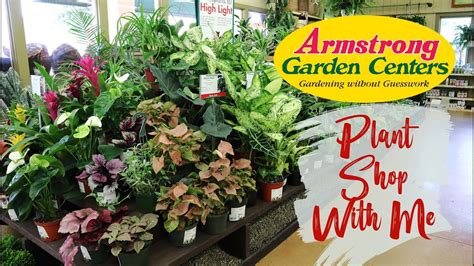 Armstrong Nursery: Your One-Stop Destination for Nurturing Life