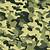 army camouflage background
